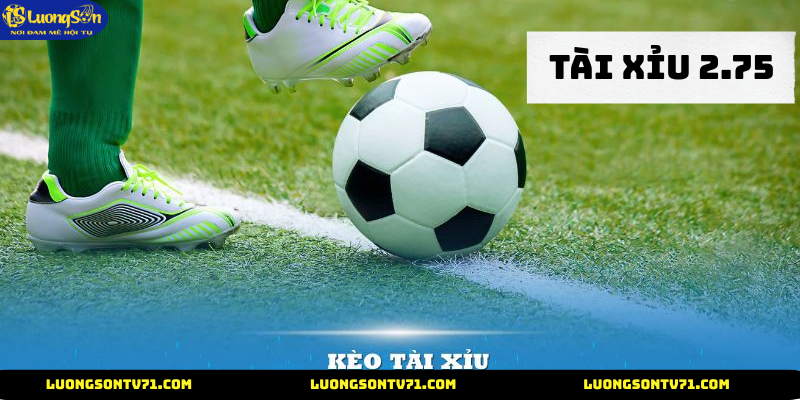Kèo tài xỉu 2.75 cùng lương sơn tv
