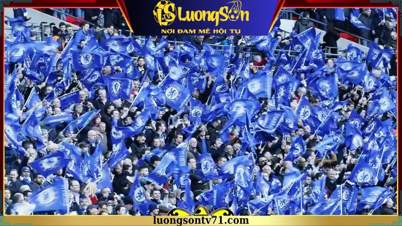Các hội nhóm tiêu biểu của Fan Chelsea Mạng lưới toàn cầu của các hội nhóm Fan Chelsea